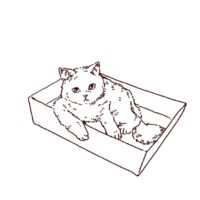 箱に入っている猫のイラスト