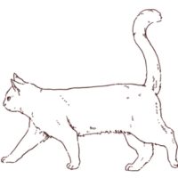 猫の線画イラスト