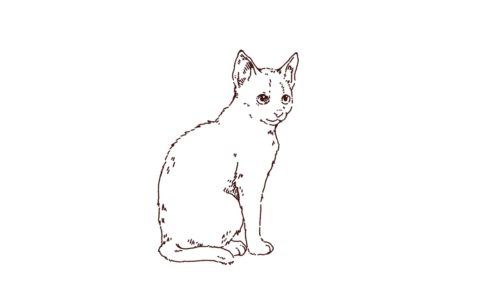子猫のイラスト