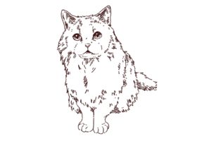 猫の正面線画イラスト