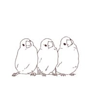 文鳥（小鳥）の線画イラスト