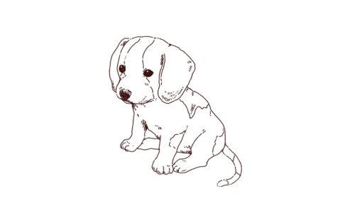子犬（ビーグル犬）のおすわりイラスト，フリーイラスト,フリー素材,線画イラスト