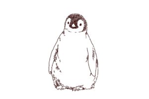 ペンギンのヒナ