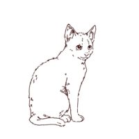 子猫のイラスト