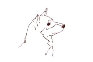 柴犬の横顔イラスト,フリーイラスト,フリー素材